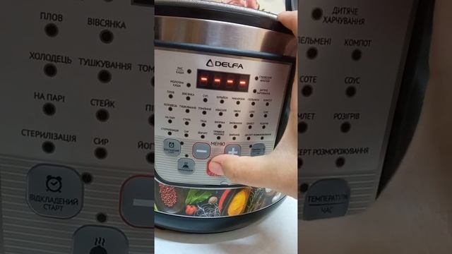 мультиварка Delfa DMC-50H8