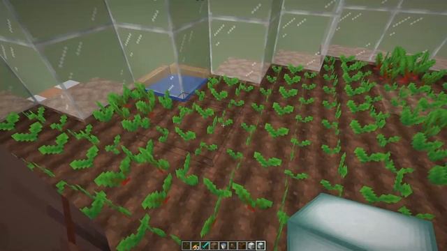 Minecraft Wheat Farm, 1.16+, Stackable [Wheat, Bread, Seeds, Carrot, Potato, Beetroot][JAVA] смотреть онлайн
