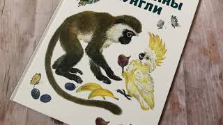Е. Чарушина-Капустина. Мартышкины джунгли смотреть онлайн