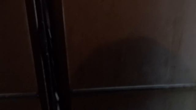 Электрический лифт (г. Санкт-Петербург) V=0,71 м-с г-п 320 кг смотреть онлайн