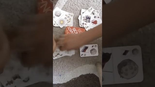 Мы играем в loonacy. смотреть онлайн