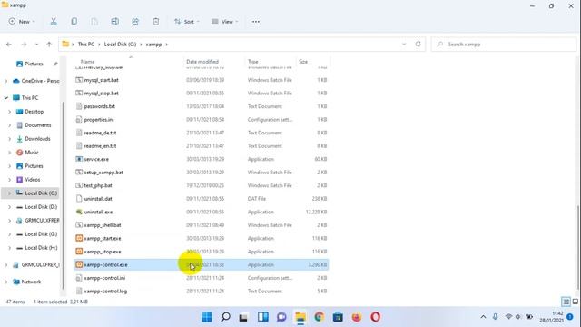 Access Violation xampp-control.exe Windows 11 (Solved) смотреть онлайн