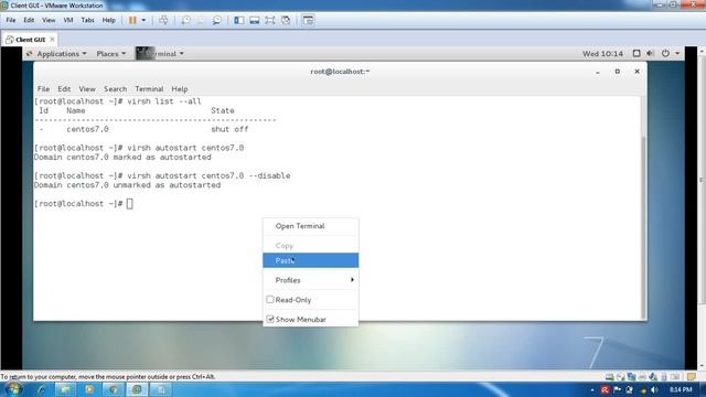 RHEL 7 Configure systems to launch virtual machines at boot смотреть онлайн