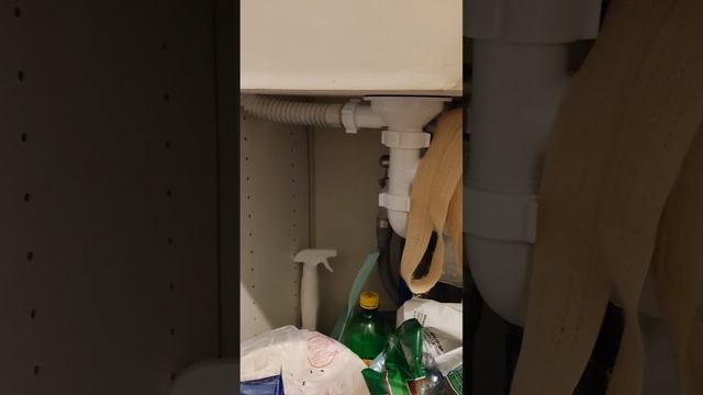 Сильный запах канализации на кухне смотреть онлайн