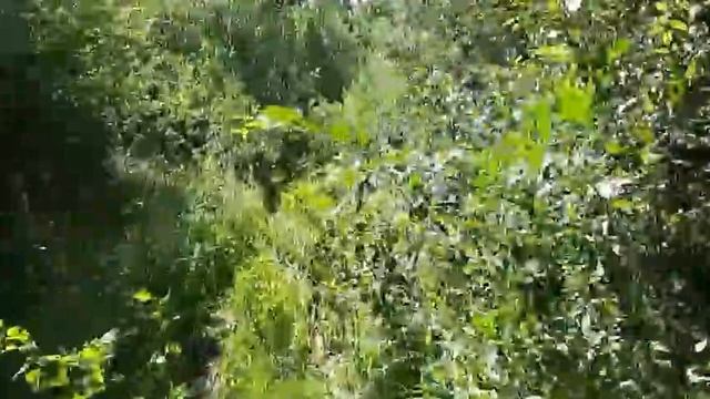 безбашенные пермские квадроциклисты смотреть онлайн