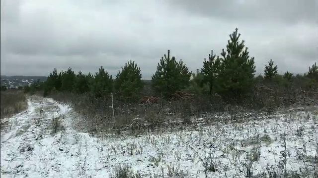 Участки с соснами у реки. Симферопольское шоссе, Заокский район смотреть онлайн