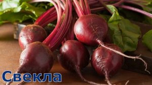 Какие овощи можно давать попугаю ?