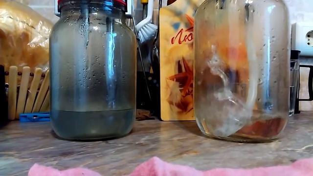 Барботер против сухопарника смотреть онлайн