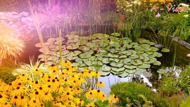 Дизайнерские идеи для дачи и сада / Design ideas for a garden plot смотреть онлайн