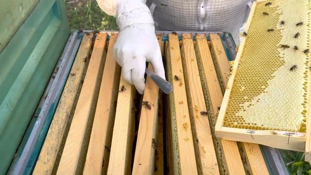 Как быстро отобрать мёд у пчёл смотреть онлайн