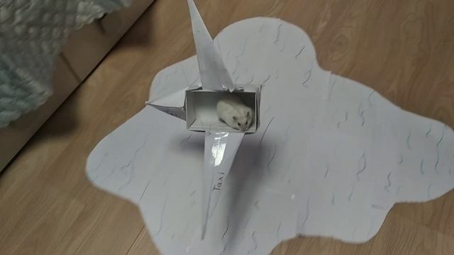 Сказка квест: ДЕНЬГИ (часть 4) смотреть онлайн
