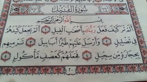 Сура 105 Алам-Таракайфа (Слон)