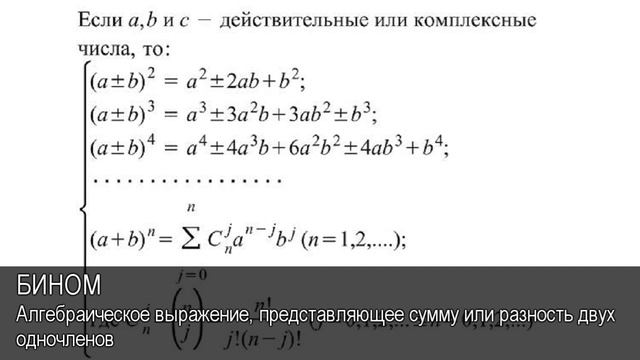 Бином. Толковый Видеословарь русского языка смотреть онлайн