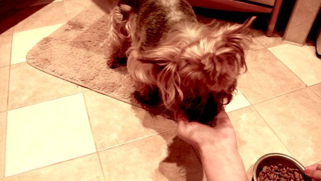 Вот так мы кушаем смотреть онлайн