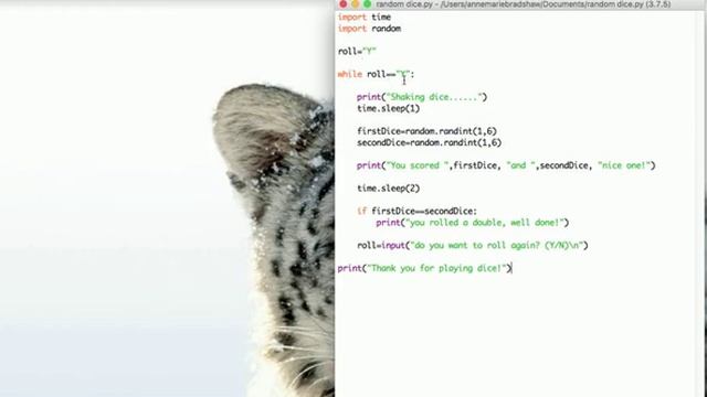 Python L6 using random randint and a while loop смотреть онлайн