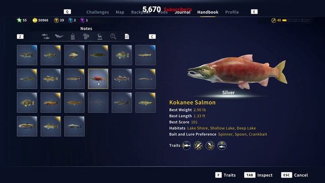 ULTIMATE HOOK GUIDE For Golden Ridge Reserve How to Catch More DIAMONDS |Call of the wild the angle смотреть онлайн