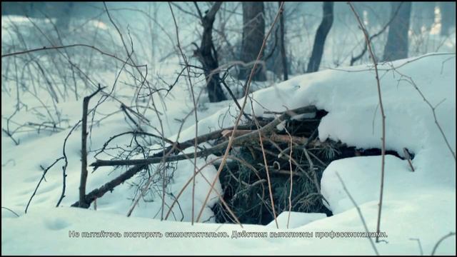 Весна , Начнётся всё ! смотреть онлайн