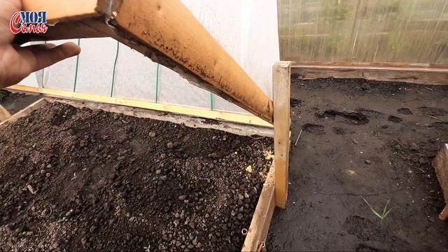 Как подвязывать помидоры//парник своими руками дачный влог/семейный канал//наша теплица//Моя семья/ смотреть онлайн