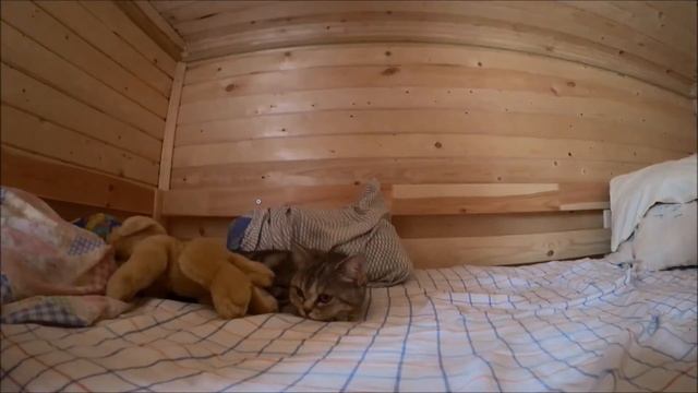 №17 Работы на даче. Копаем колодец под септик (слив воды из кухни), устанавливаем кольца. НАША ДАЧ смотреть онлайн