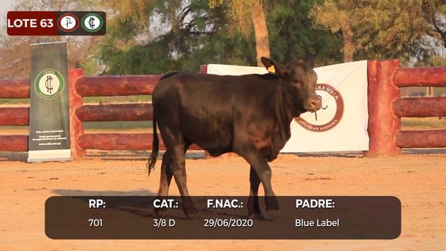 LOTE 63 RP: 701 смотреть онлайн