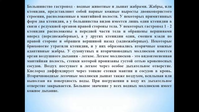 Животные (Часть 43) Класс Брюхоногие (+18) смотреть онлайн