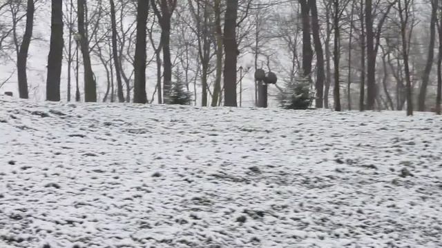 Шел 57 день февраля 2015 года.... смотреть онлайн