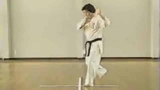 Enshin Karate - The blind spot and the four basic positions смотреть онлайн