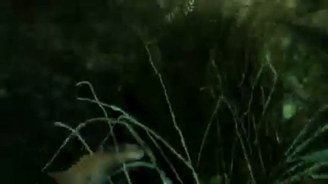 ? Стрим Metro redux Прохождение на русском ПК 2K Часть 1 В путь смотреть онлайн