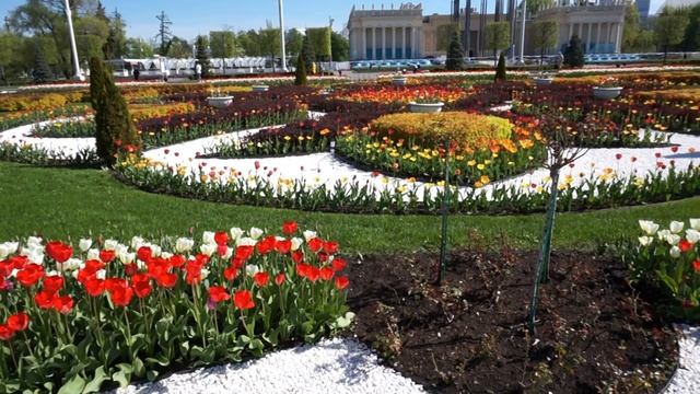 ВДНХ. Май 2021 смотреть онлайн