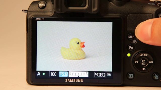 Samsung NX10 Burst Mode