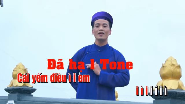 KARAOKE - Đào Liễu