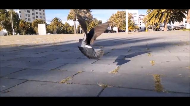 #Riobamba #Ecuador LUGARES QUE PUEDES VISITAR EN RIOBAMBA