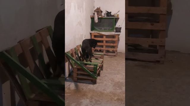 Милые друзья смотреть онлайн