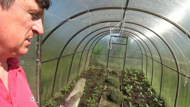 Мульчирование скошенной травой. Польза или вред? смотреть онлайн