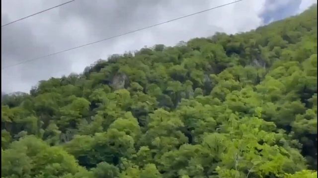 Индивидуальные туры в Абхазию смотреть онлайн