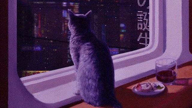 тюмос у аристотеля и фукуямы (через кожева и платона) смотреть онлайн