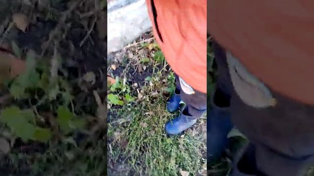 Мы нашли труп человека 2 часть смотреть онлайн