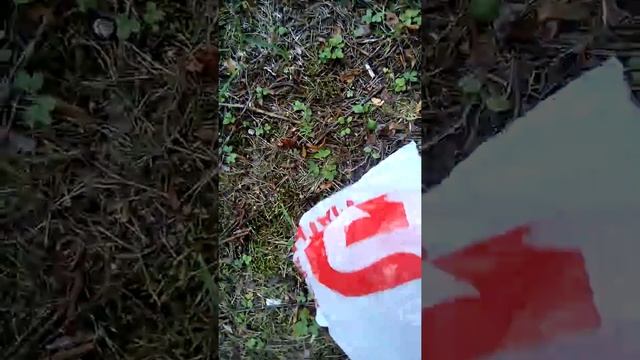 Как я грибы собирала . смотреть онлайн