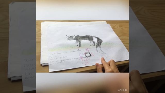 Мои рисунки, лайны котов воителей | Рисунки карандашом | смотреть онлайн