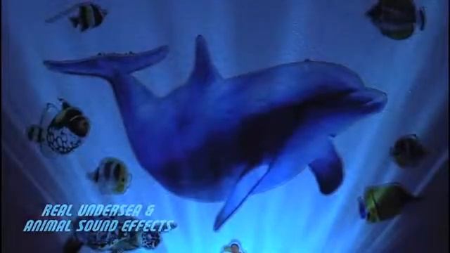 Детский проектор Путешествие с Дельфином смотреть онлайн