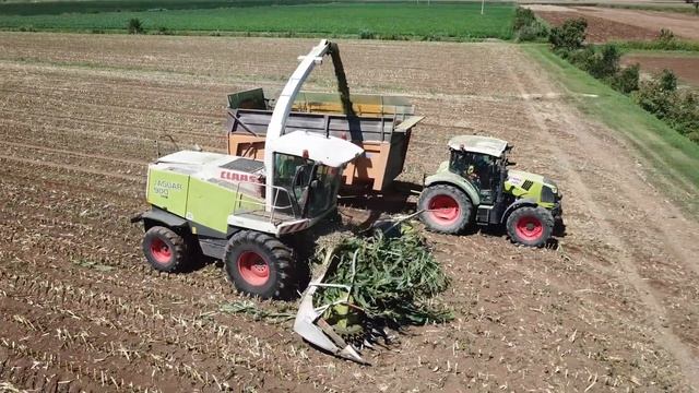 Claas Jaguar 900 | Arion 460 | New Holland TM 165 | Trinciato mais 2023 смотреть онлайн