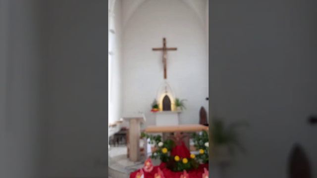 Образы барокко .После концерта в римско- католическом храме Воздвижения Святого Креста.г.Тамбов.mp4 смотреть онлайн