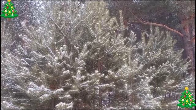 Сказочный зимний лес./ Fairytale winter forest смотреть онлайн