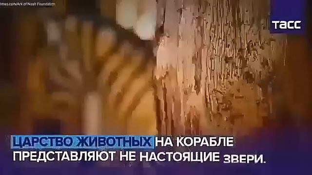 Йохан Хейберс построил плавучую копию ноевого ковчега смотреть онлайн