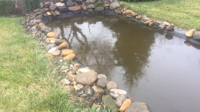 Изумрудный газон весь сезон. Уход весной .Как правильно стричь газон смотреть онлайн