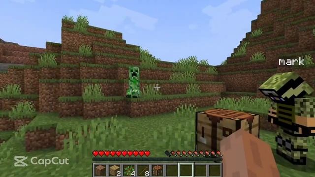 MINECRAFT FUN смотреть онлайн
