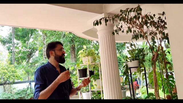 GARDEN ICU ⛑️|| Dr. Daisy's Designer Garden tour Part -2 || Hanging Garden tour ||Bonsai plants смотреть онлайн
