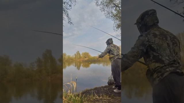 Самоподсекающийся поплавок с АлиЭкспресс смотреть онлайн
