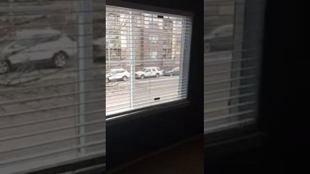 NW Perl смотреть онлайн