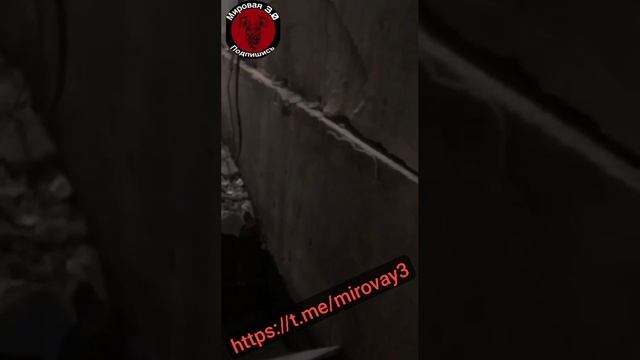 Авдос, обстановка